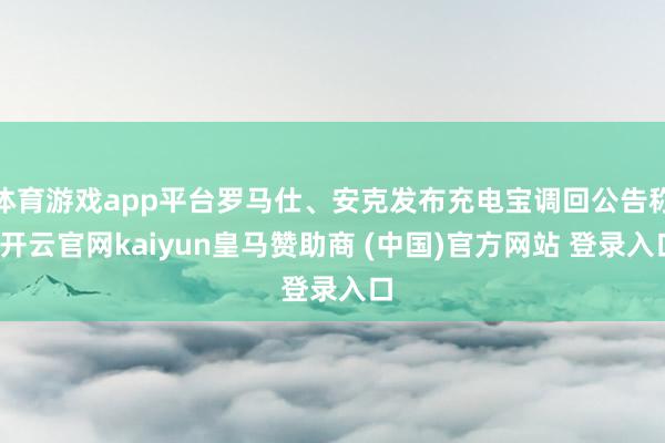 体育游戏app平台罗马仕、安克发布充电宝调回公告称-开云官网kaiyun皇马赞助商 (中国)官方网站 登录入口