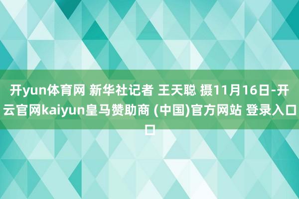 开yun体育网 新华社记者 王天聪 摄11月16日-开云官网kaiyun皇马赞助商 (中国)官方网站 登录入口