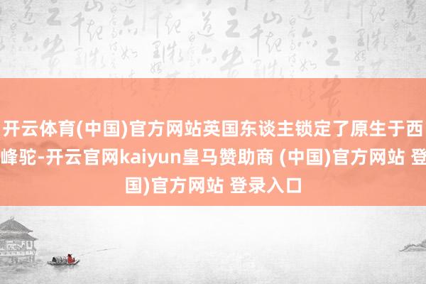开云体育(中国)官方网站英国东谈主锁定了原生于西亚的单峰驼-开云官网kaiyun皇马赞助商 (中国)官方网站 登录入口